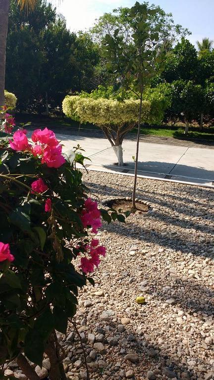 Hotel Y Club Campestre Altos Paraiso Puerto Escondido  Ngoại thất bức ảnh